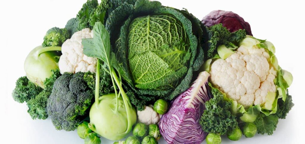 nutriments légumes verts
