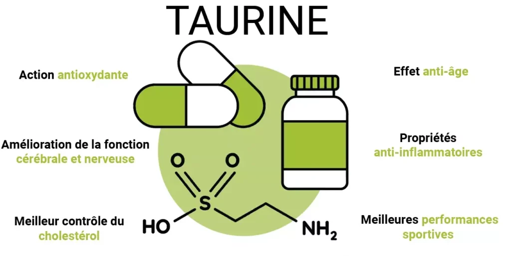 effets de la taurine sur l'organisme sur le corps schéma