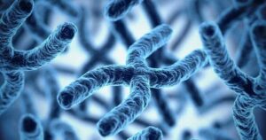 dangers probiotiques immunodepresseur