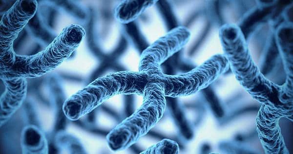 dangers probiotiques immunodepresseur